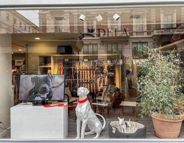 Business listing image