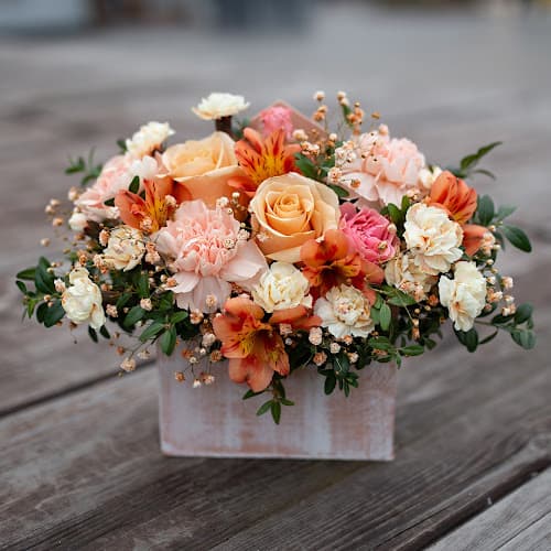 Business listing image